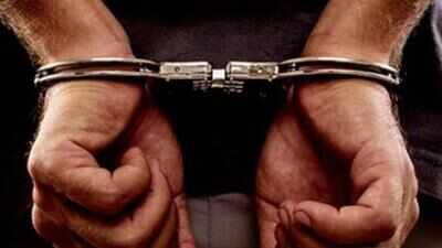 arrest1jpg