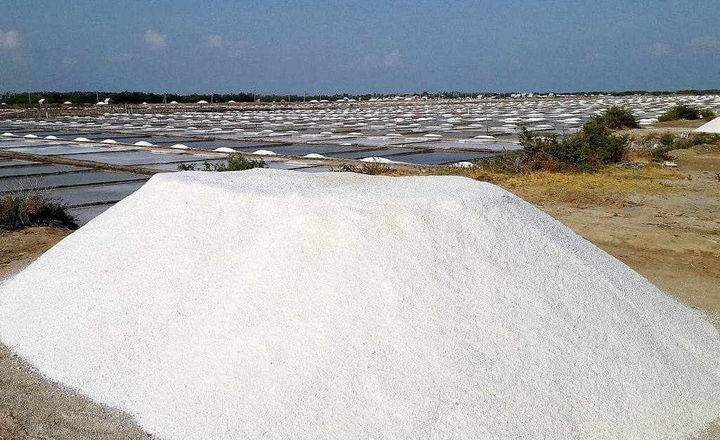 Tamil Nadu salt production workers seeking government assistance! ve24sal2